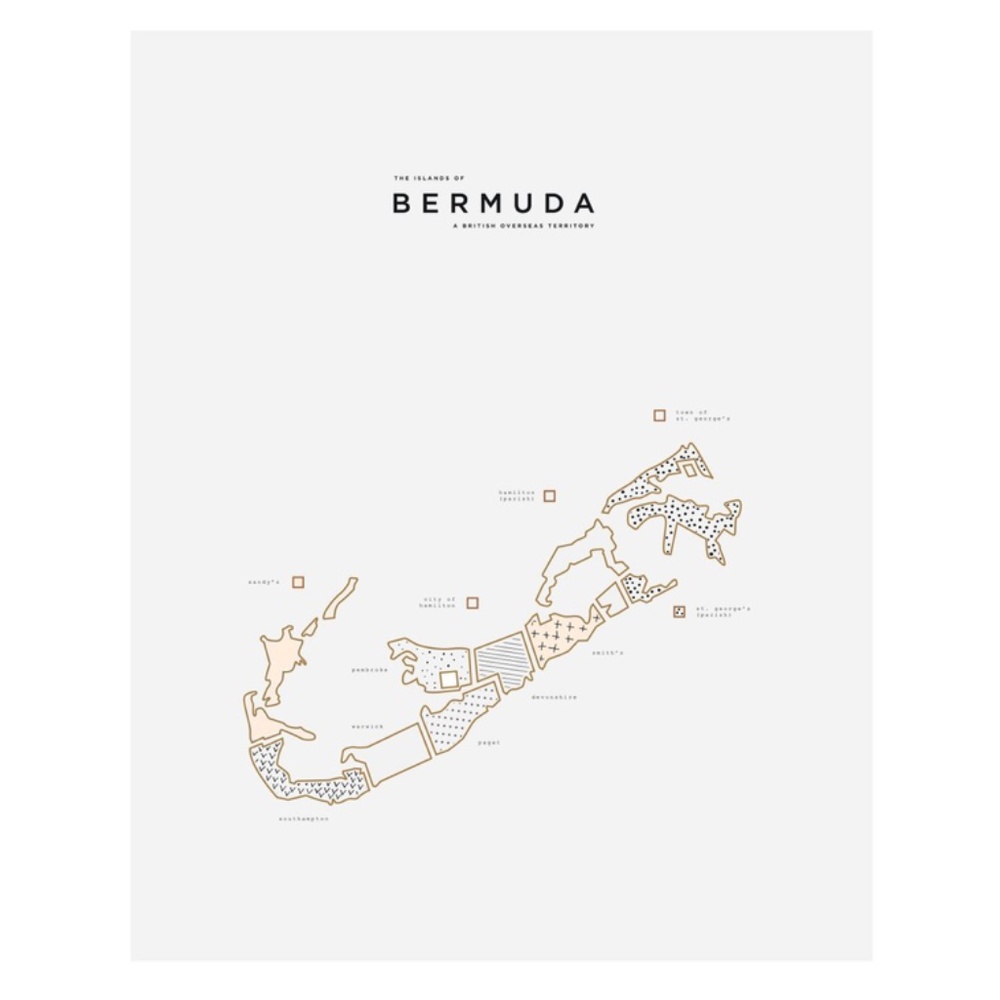 42 Pressed Print- Bermuda (NWOT)